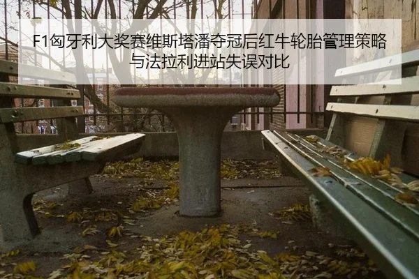 xiong-ya-li-da-jiang-sai-wei-si-ta-pan-duo-guan-hou-hong-niu-lun-tai-guan-li-ce-lve-yu-fa-la-li-jin-zhan-shi-wu-dui-bi-3-633.jpg